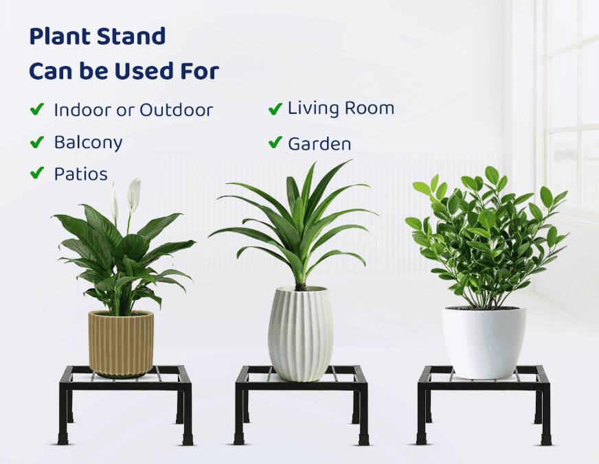 Ideal for Indoor & Outdoor Settings: